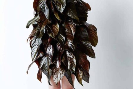 Leaf Man. El arte floral de Azuma Makoto | leaf_man azuma_makoto roomdiseno3