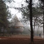Cabaña en el bosque. forma cónica. ZJJZ Atelier | mushroom2
