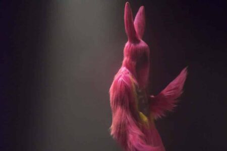 Bunny Boy. 2012. Nick Cave Visual Artist. ©Jack Shainman Gallery | nick_cave2 roomdiseno3