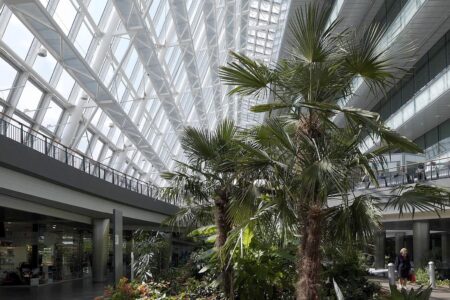 Ospedale dell'Angelo. Venecia, Italia. . Emilio Ambasz. Arquitectura verde. Arquitectura sostenible | ospedale emilio_ambasz roomdiseno2
