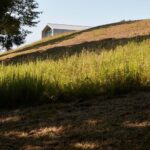 Salt Point Home. Ai Weiwei y Reddymade | reddymade ai wei wei salt point home new york roomdiseno1