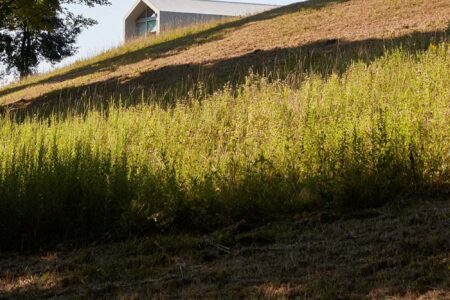 Salt Point Home. Ai Weiwei y Reddymade | reddymade ai wei wei salt point home new york roomdiseno1