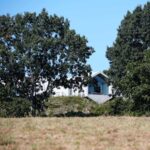 Salt Point Home. Ai Weiwei y Reddymade | reddymade ai wei wei salt point home new york roomdiseno3
