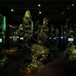 Palau Robert, Isern Serra, Somia la ciutat | salvalopez_isernserra_palaurobert_ciutats_072