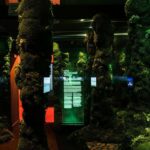 Palau Robert, Isern Serra, Somia la ciutat | salvalopez_isernserra_palaurobert_ciutats_085