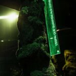 Palau Robert, Isern Serra, Somia la ciutat | salvalopez_isernserra_palaurobert_ciutats_087