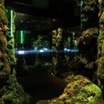 Palau Robert, Isern Serra, Somia la ciutat | salvalopez_isernserra_palaurobert_ciutats_089