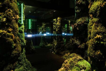 Palau Robert, Isern Serra, Somia la ciutat | salvalopez_isernserra_palaurobert_ciutats_089