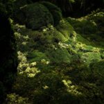 Palau Robert, Isern Serra, Somia la ciutat | salvalopez_isernserra_palaurobert_ciutats_090