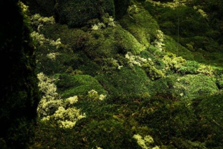 Palau Robert, Isern Serra, Somia la ciutat | salvalopez_isernserra_palaurobert_ciutats_090