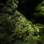 Palau Robert, Isern Serra, Somia la ciutat | salvalopez_isernserra_palaurobert_ciutats_091