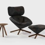 Tortuga. Issac Piñeiro. Sancal. Feria Hábitat Valencia 2023 | tortuga