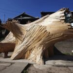 Tree of Ibuki. Takashi Kuribayashi. Paisajes artificiales. Land Art | tree of ibuki02