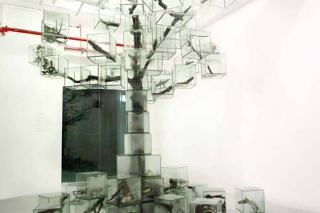Trees. Takashi Kuribayashi. Paisajes artificiales. Land Art | tree01