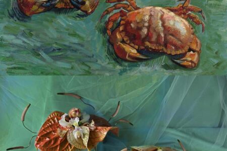 Two Crabs. Harriet Parry | two crabs vincent van gogh x harriet parry