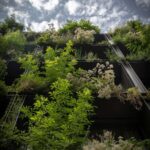 Villa M. Ciudad sostenible. Triptyque Architecture y Philippe Starck | villa_m triptyque_architecture philippe_starck roomdiseno11