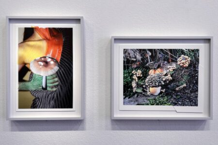 MEP de París, Viviane Sassen | viviane sassen10