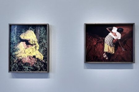MEP de París, Viviane Sassen | viviane sassen14