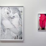 MEP de París, Viviane Sassen | viviane sassen6