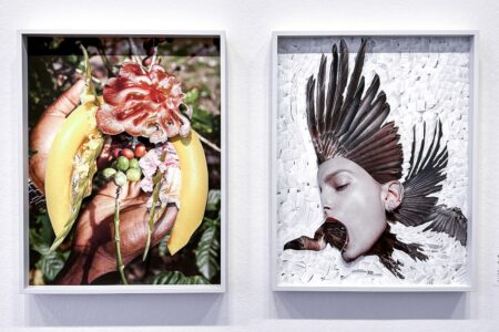 MEP de París, Viviane Sassen | viviane sassen8