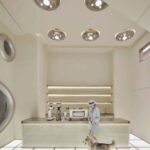 tienda de mascotas, diseño retrofuturista, BIBU Pet Store, space age | yuuuunstudio27