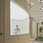 tienda de mascotas, diseño retrofuturista, BIBU Pet Store, space age | yuuuunstudio33