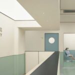 tienda de mascotas, diseño retrofuturista, BIBU Pet Store, space age | yuuuunstudio42