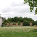 Parc Matisse, Lille. Gilles Clément. Paisajista francés. El jardín en movimiento | parc matisse_lille gilles_clement roomdiseno4