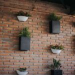 Plantas_mariscos-201cd89f-3