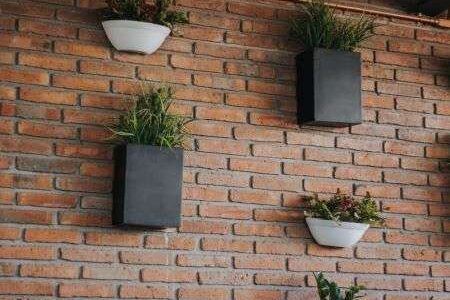 Plantas_mariscos-201cd89f-3