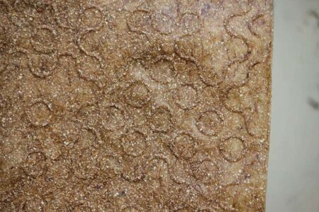 GarlicPeelsBiotextile_1_PhotobyLigiaLopes-d23a1cb4