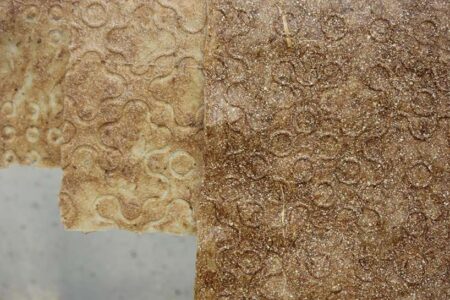 GarlicPeelsBiotextile_2_PhotobyLigiaLopes-8326c002