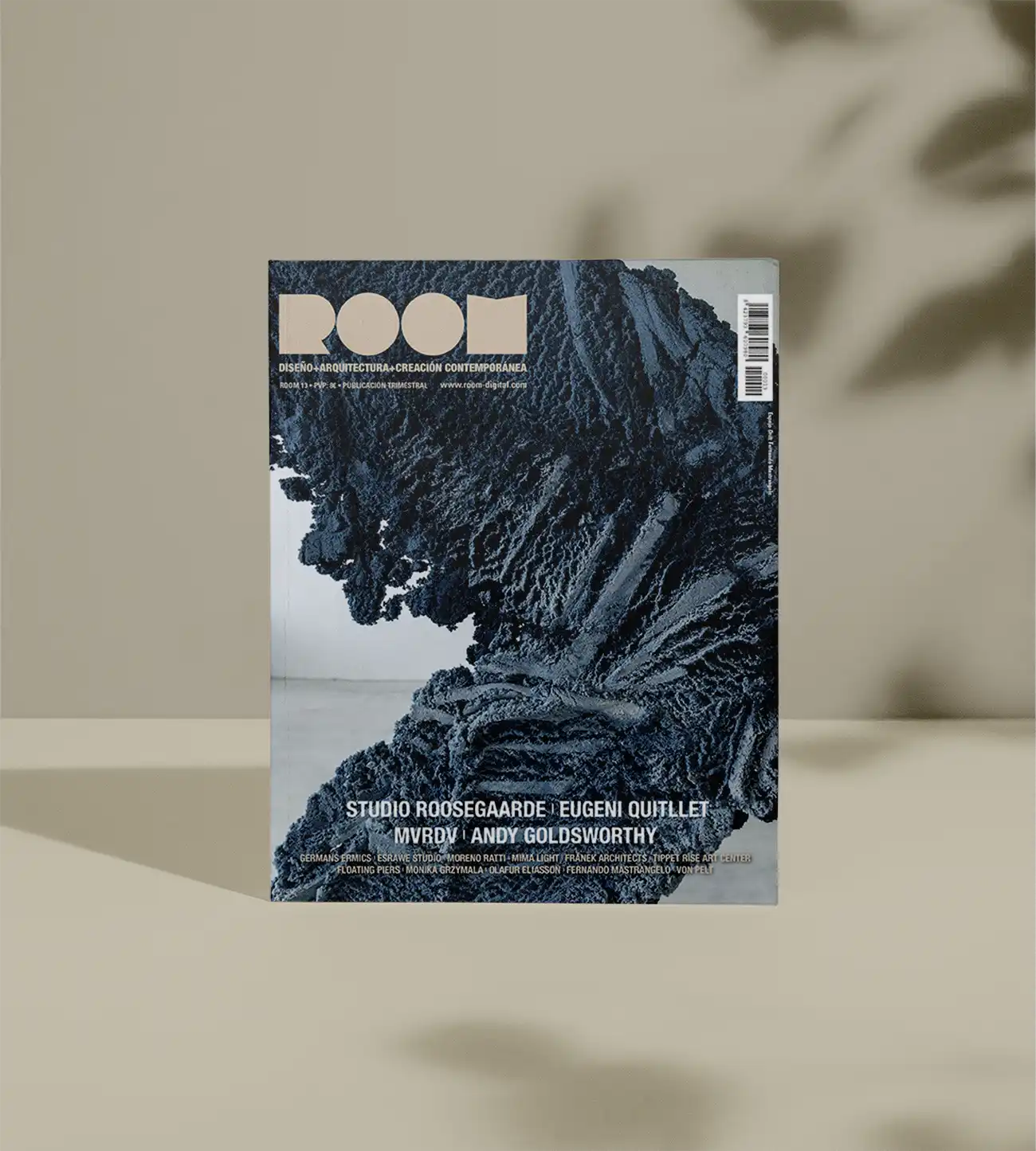 ROOM13
