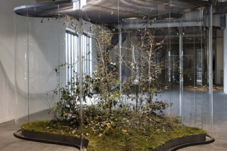 A Transparent Leaf instead of the Mouth. Vista instalación Mondes Flottants. 14th Biennale de Lion. Daniel Steegmann Mangrané. Foto: © Andrea Rossetti