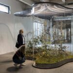 A Transparent Leaf instead of the Mouth. Vista instalación Mondes Flottants. 14th Biennale de Lion. Daniel Steegmann Mangrané. Foto: © Andrea Rossetti