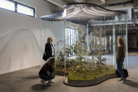 A Transparent Leaf instead of the Mouth. Vista instalación Mondes Flottants. 14th Biennale de Lion. Daniel Steegmann Mangrané. Foto: © Andrea Rossetti