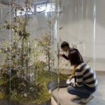 A Transparent Leaf instead of the Mouth. Vista instalación Mondes Flottants. 14th Biennale de Lion. Daniel Steegmann Mangrané. Foto: © Andrea Rossetti