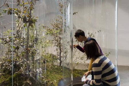 A Transparent Leaf instead of the Mouth. Vista instalación Mondes Flottants. 14th Biennale de Lion. Daniel Steegmann Mangrané. Foto: © Andrea Rossetti