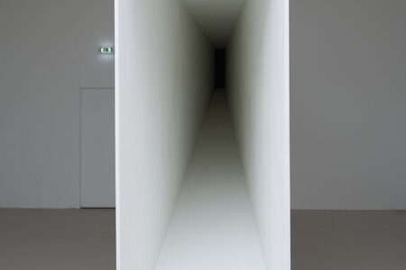 Ne voulais prendre ni forme, ni chair, ni matière. Vista instalación AC Villeurbanne. Daniel Steegmann Mangrané. Foto: © Teresa Estrada