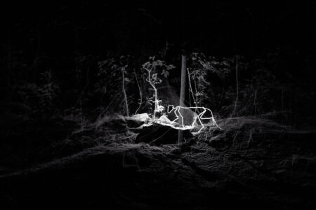 A Dream Dreaming a Dream. 2020. Daniel Steegmann Mangrané. Foto: © Roberto Ruiz