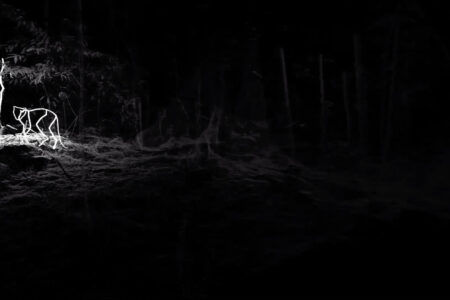 A Dream Dreaming a Dream. 2020. Daniel Steegmann Mangrané. Foto: © Roberto Ruiz