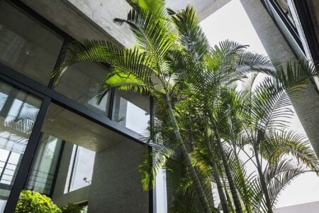 Binh House. Võ Trọng Nghĩa Architects. Arquitectura sostenible