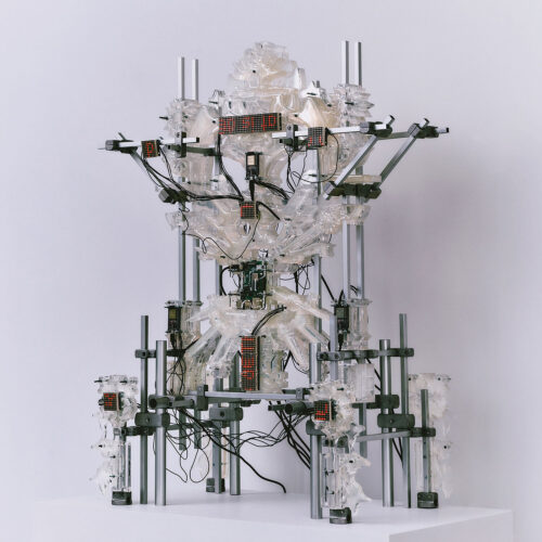 Core Sacra. Teresa Fernández Pello. Seleccionado Premios ROOM. Categoría: Premio Futuro