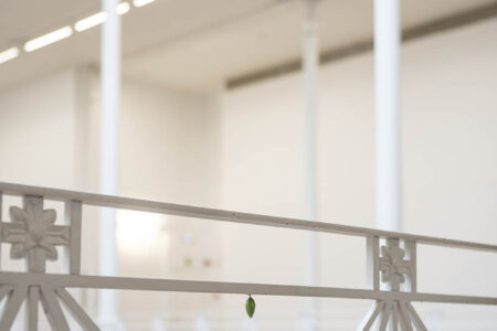 -’— –‘- Vista instalación en Fundació Tàpies. 2018. Daniel Steegmann Mangrané. Foto: © Roberto Ruiz
