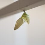 -’— –‘- Vista instalación en Fundació Tàpies. 2018. Daniel Steegmann Mangrané. Foto: © Roberto Ruiz