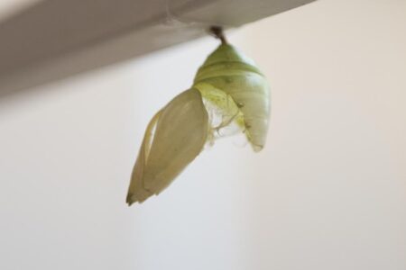 -’— –‘- Vista instalación en Fundació Tàpies. 2018. Daniel Steegmann Mangrané. Foto: © Roberto Ruiz