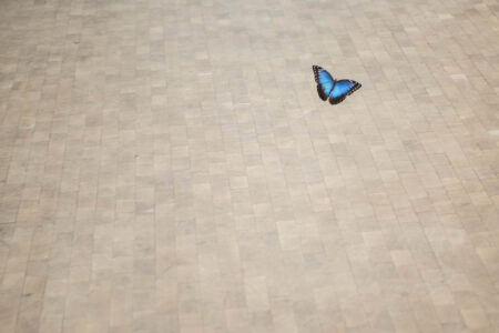 -’— –‘- Vista instalación en Fundació Tàpies. 2018. Daniel Steegmann Mangrané. Foto: © Roberto Ruiz