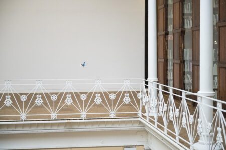 -’— –‘- Vista instalación en Fundació Tàpies. 2018. Daniel Steegmann Mangrané. Foto: © Roberto Ruiz
