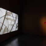 Daniel Steegmann Mangrané, MACBA, arte contemporáneo