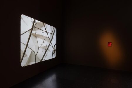 Daniel Steegmann Mangrané, MACBA, arte contemporáneo